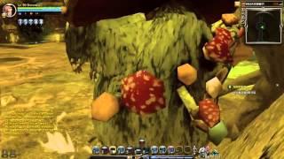 Dragon Nest CN lvl 90 Crusader(after Boost) solo ABN Stage 1 & 2
