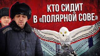 «Полярная сова»: кто там сидит