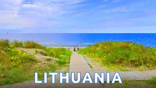 BEAUTIFUL Walk in Lithuania through Forest to Baltic Sea