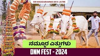 DNM FEST | 2024 | ನಮ್ಮೂರ  ಎತ್ತುಗಳು  | OFFICIAL VIDEO | Huskuru  Jaatre |Manohar Marappa