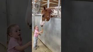 Maybe she can start feeding Kevin too #farming #equestrian #horsefan #baby #pony