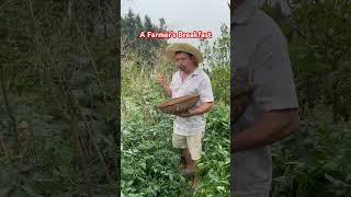 A farmer’s breakfast #shorts #fyp #asmr #funny #comedy #farmer #happylife #lol