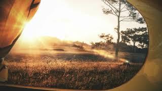 Countryside Camping Morning Ambience | Sound of Birds, Insects, and Bumblebees
