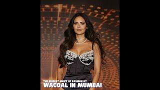 We Visited The Biggest Night Of Fashion By Wacoal In Mumbai | Curly Tales #shorts