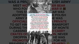 Wojtek: The Soldier Bear Who Was a Private in The Polish Army