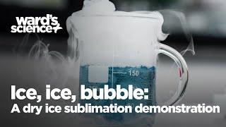 Ice, Ice, Bubble: A Dry Ice Sublimation Demonstration