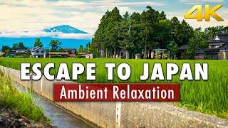 Escape to the Japanese Countryside | Relaxing Ambient 4k