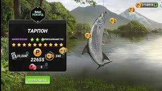 Как поймать 13* рыбу. Пошаговая инструкция для ВСЕХ локаций. Fishing Clash