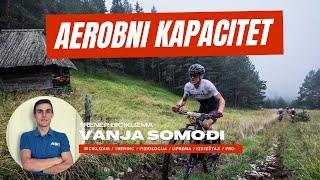 Aerobni kapacitet (VO2max) | Biciklizam