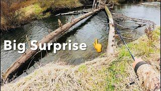 TROUT FISHING For BIG Pennsylvania WILD BROWN TROUT (2025) #fishing #trout #troutfishing
