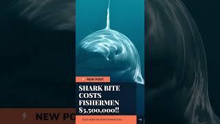 Shark Costs $3.5 Million Dollars!! #fishing
