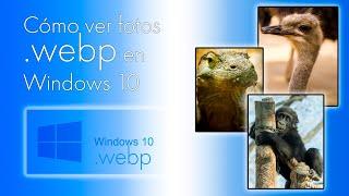 Cómo ver fotos .webp en Windows 10