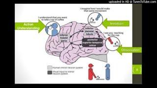 Human Action Understanding