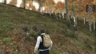 Мэддисон: Мнение о DayZ (не обзор)