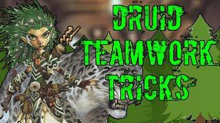 5 Tricks Every Pathfinder 2e Druid NEEDS to Know!