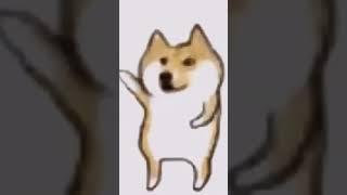 Dog#haha#memer##short##hahaha #lol#memes#vineboom#foryou#rock#lolclips#fypシ#fyp#foryoupage