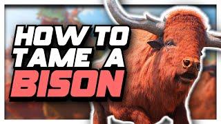 How To Tame BISON in ARK: Survival Ascended!