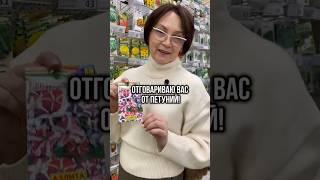 Петуньи. Оно вам надо?