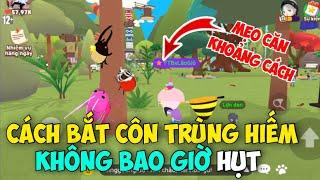 [PLAY TOGETHER] Hướng Dẫn Cách Bắt Côn Trùng Hiếm Không Bao Giờ Hụt