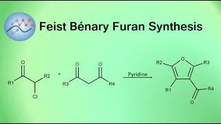 Feist-Bénary Furan Synthesis Mechanism | Organic Chemistry