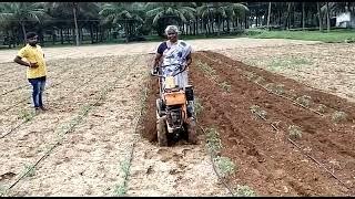 Gain- Bheem Excel Tiller Intercrop