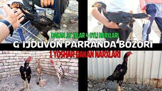 G`IJDUVON PARRANDA BOZORI // DAKAN JO`JA // DAKAN TOVUQ // DAKAN XO`ROZLAR NARXLARI