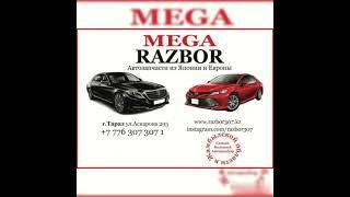 MEGA RAZBOR 307