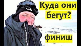 САМЫЙ ТЯЖЕЛЫЙ 15 этап \ ШЛИ СУТКИ \ Усть-Камчатск \ Берингия 2019 \ Камчатка Kamchatka #12