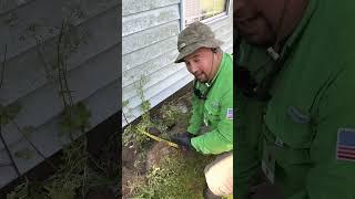 Full liquid termite treatment