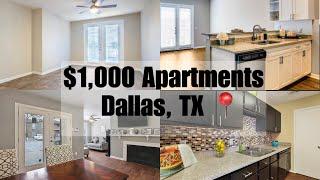 What $1,000 Can Get You In Dallas, Tx | Apartment Tour