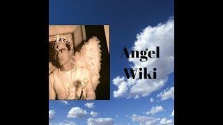 Angel Melendez Wiki