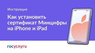 Как установить сертификат Минцифры на Айфон или Айпад