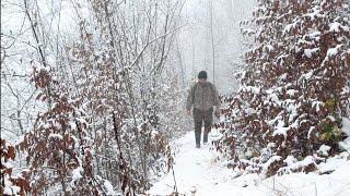 Blizzard Snowstorm,Bushcraft Survival Shelter in Snowy Forest at -11°C Without Sleeping Bag