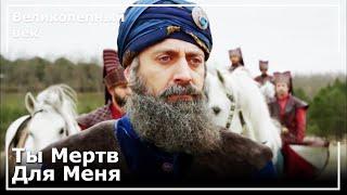 Султан Сулейман Отменил Регентство Мустафы! | Великолепный век