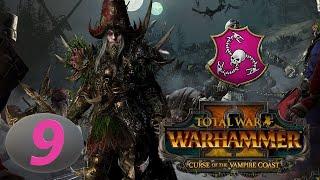 Total War: Warhammer 2. # 9. Граф Ноктил. Прохождение на Легенде.