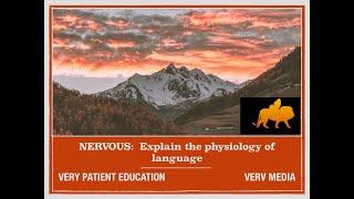 VERY PATIENT EDUCATION NERVOUS:  What is the physiology of the nervous system?