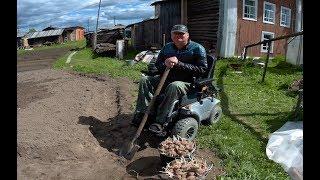 Посадка картофеля на севере. июнь 2019. /Дела в деревне/