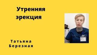 Эрекция по утрам