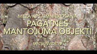 Pagātnes mantojums mežā