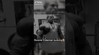 Ronnie Coleman Bulking - The Gym Hub