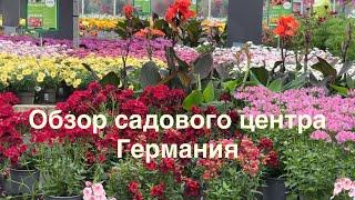 Грациозные силуэты в саду: цветы для лёгкости и ритма  Садовый центр OTTEN 