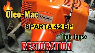 Oleomac / SPARTA 42 BP/ 441/ Italian brush cutter Low weight and low sound / restorasyon / #oleomac