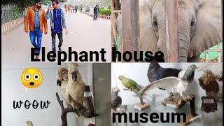 Exploring One Of The Bets Zoo In Karachi | Part #2 | Zainwahabvlogs |