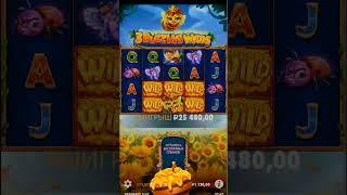 Бонуска для подписчика в Пчёлах #слоты #slot #бонуска #games #casino #заносы #заносынедели #jackpot