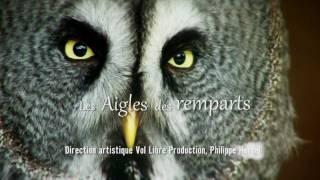 Vol Libre - Les Aigles des Remparts