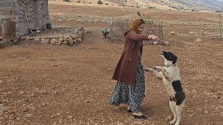 A beautiful nomadic woman takes care of her friend