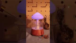 My mom's nose was blocked again, so I put a few drops of eucalyptus essential oil into a diffuser.