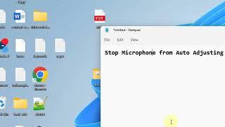 Stop Microphone from Auto Adjusting in Windows 11