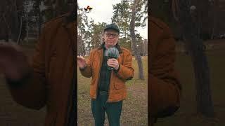 Рыбалка Нерестовый запрет Ограничения ловли рыбы в нерестовый запрет