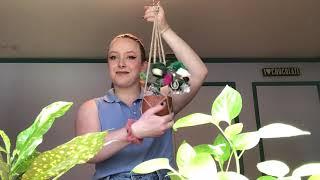 Camille Molsick-Gibson: Plant Shaped Jewelry Hanger